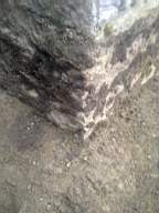 Carrowmore  10060.jpg